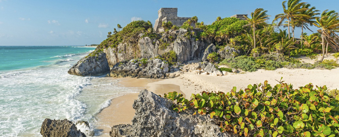 Mejores escuelas de ingles en Playa del Carmen v001